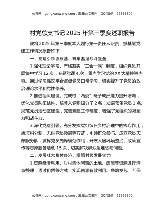 村党总支书记2025年第三季度述职报告