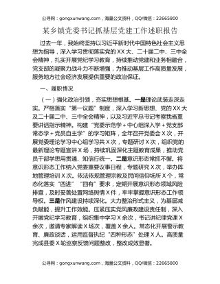 某乡镇党委书记抓基层党建工作述职报告