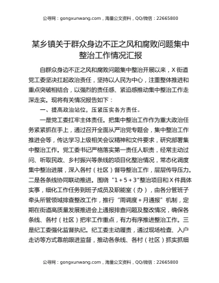 某乡镇关于群众身边不正之风和腐败问题集中整治工作情况汇报