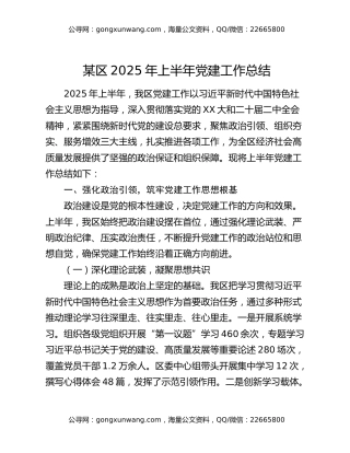 某区2025年上半年党建工作总结