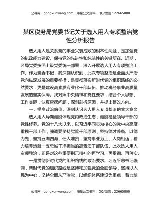 某区税务局党委书记关于选人用人专项整治党性分析报告