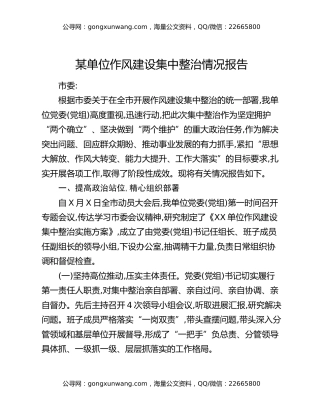 某单位作风建设集中整治情况报告