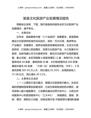 某县文化旅游产业发展情况报告