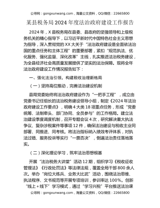 某县税务局2024年度法治政府建设工作报告