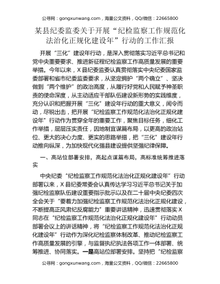 某县纪委监委关于开展“纪检监察工作规范化法治化正规化建设年”行动的工作汇报