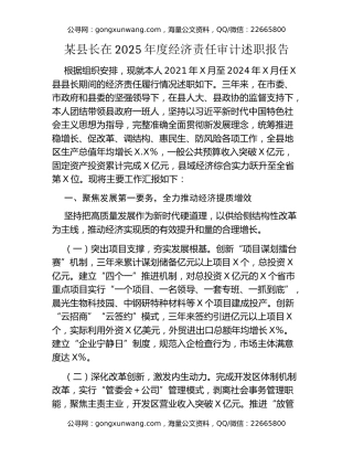 某县长在2025年度经济责任审计述职报告