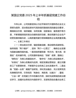 某国企党委2025年上半年抓基层党建工作总结
