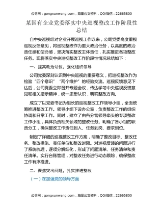 某国有企业党委落实中央巡视整改工作阶段性总结