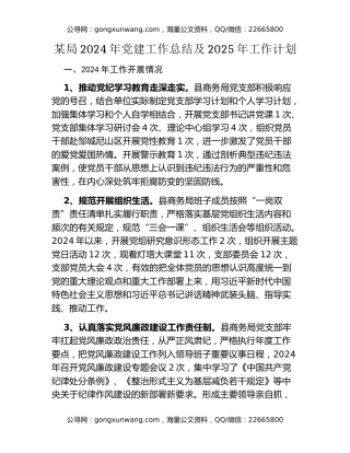 某局2024年党建工作总结及2025年工作计划