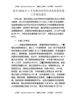 某市2025年上半年推动民营经济高质量发展工作情况报告