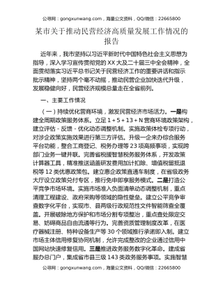 某市关于推动民营经济高质量发展工作情况的报告