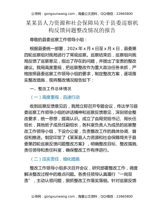 某某县人力资源和社会保障局关于县委巡察机构反馈问题整改情况的报告