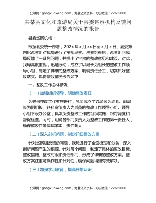 某某县文化和旅游局关于县委巡察机构反馈问题整改情况的报告