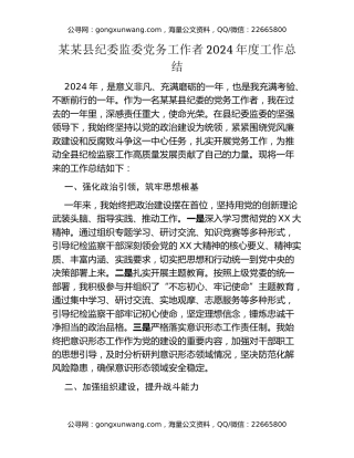 某某县纪委监委党务工作者2024年度工作总结