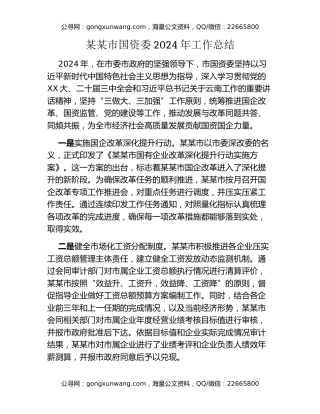 某某市国资委2024年工作总结