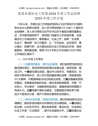 某某市委社会工作部2024年度工作总结和2025年度工作计划