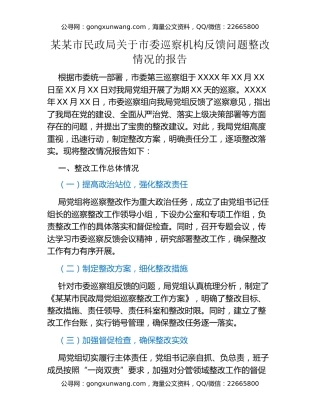 某某市民政局关于市委巡察机构反馈问题整改情况的报告