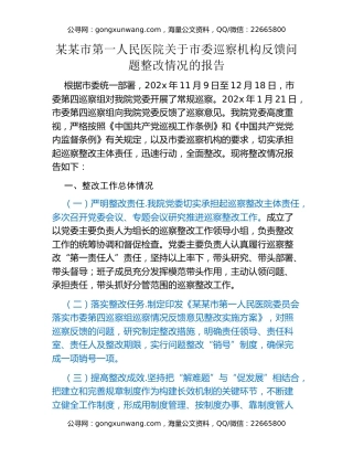 某某市第一人民医院关于市委巡察机构反馈问题整改情况的报告