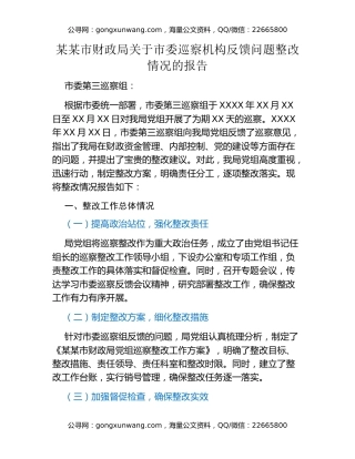 某某市财政局关于市委巡察机构反馈问题整改情况的报告