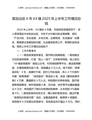某自治区X市XX镇2025年上半年工作情况总结