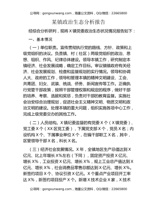 某镇政治生态分析报告
