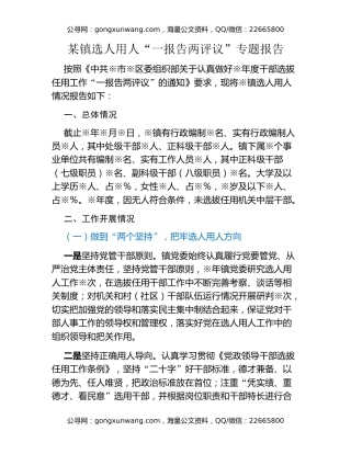 某镇选人用人“一报告两评议”专题报告