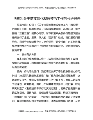 法规科关于落实深化整改整治工作的分析报告