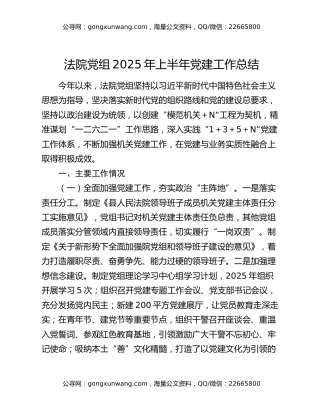 法院党组2025年上半年党建工作总结