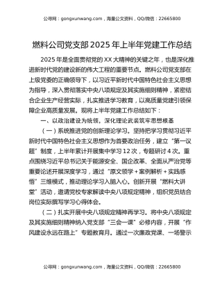 燃料公司党支部2025年上半年党建工作总结