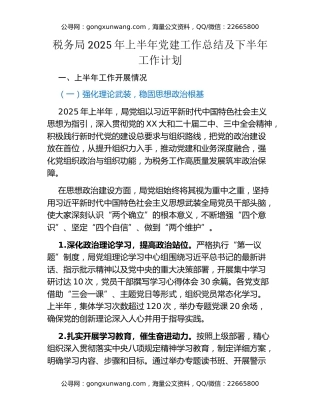 税务局2025年上半年党建工作总结及下半年工作计划