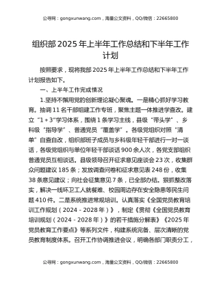 组织部2025年上半年工作总结和下半年工作计划