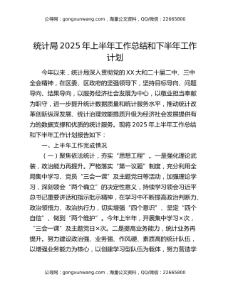 统计局2025年上半年工作总结和下半年工作计划 (2)