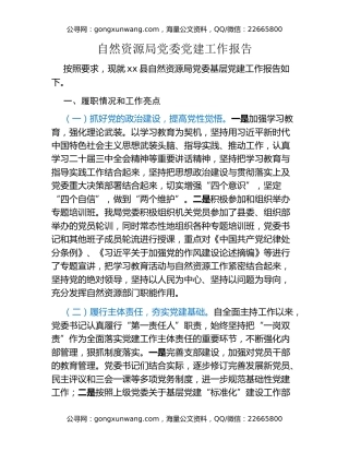 自然资源局党委党建工作报告