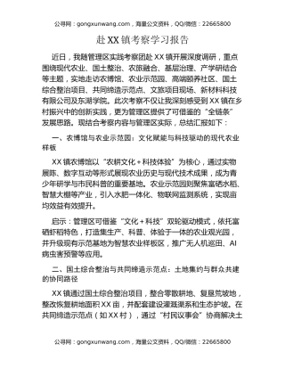 赴XX镇考察学习报告