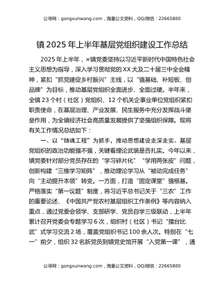 镇2025年上半年基层党组织建设工作总结