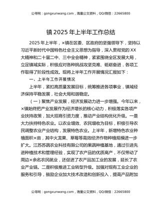 镇2025年上半年工作总结 (2)