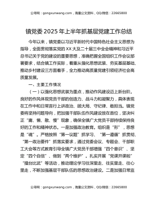 镇党委2025年上半年抓基层党建工作总结