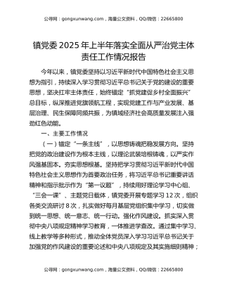 镇党委2025年上半年落实全面从严治党主体责任工作情况报告