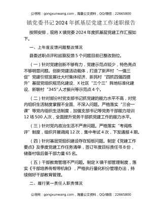 镇党委书记2024年抓基层党建工作述职报告