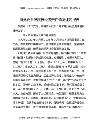 镇党委书记履行经济责任情况述职报告（2）
