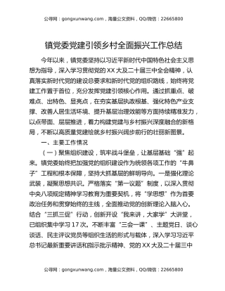 镇党委党建引领乡村全面振兴工作总结