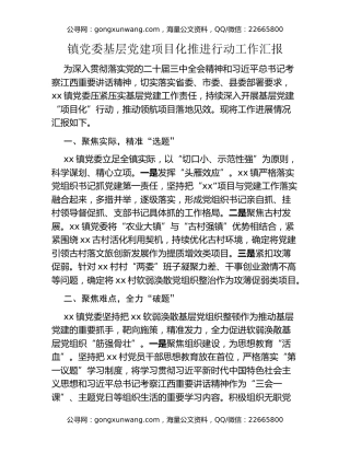 镇党委基层党建项目化推进行动工作汇报