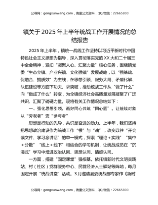 镇关于2025年上半年统战工作开展情况的总结报告