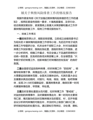 镇关于舆情风险排查工作的情况报告