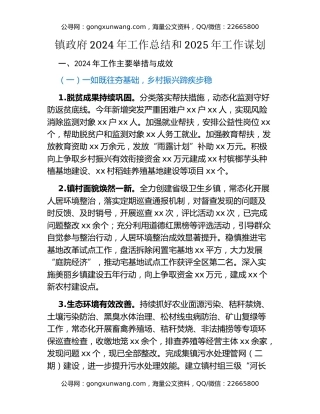 镇政府2024年工作总结和2025年工作谋划