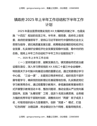 镇政府2025年上半年工作总结和下半年工作计划