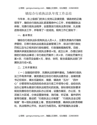 镇综合行政执法队年度工作总结