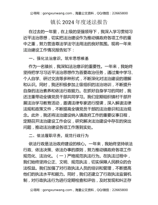 镇长2024年度述法报告