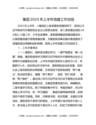 集团2025年上半年党建工作总结