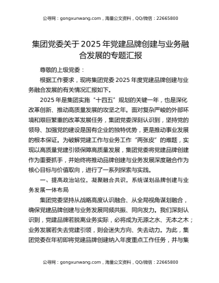 集团党委关于2025年党建品牌创建与业务融合发展的专题汇报